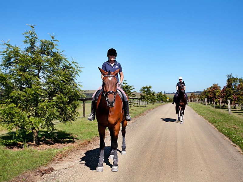 665 Luskintyre Road, Luskintyre NSW 2321