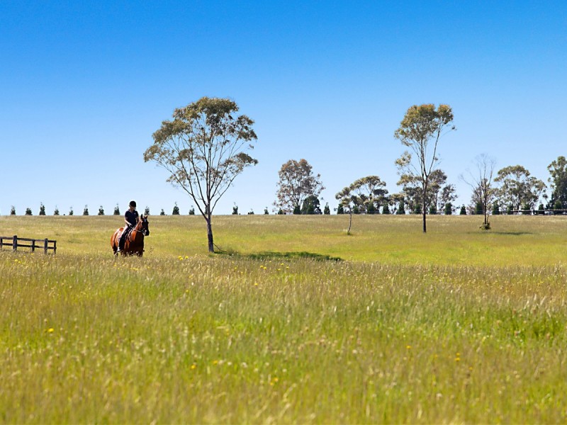 665 Luskintyre Road, Luskintyre NSW 2321