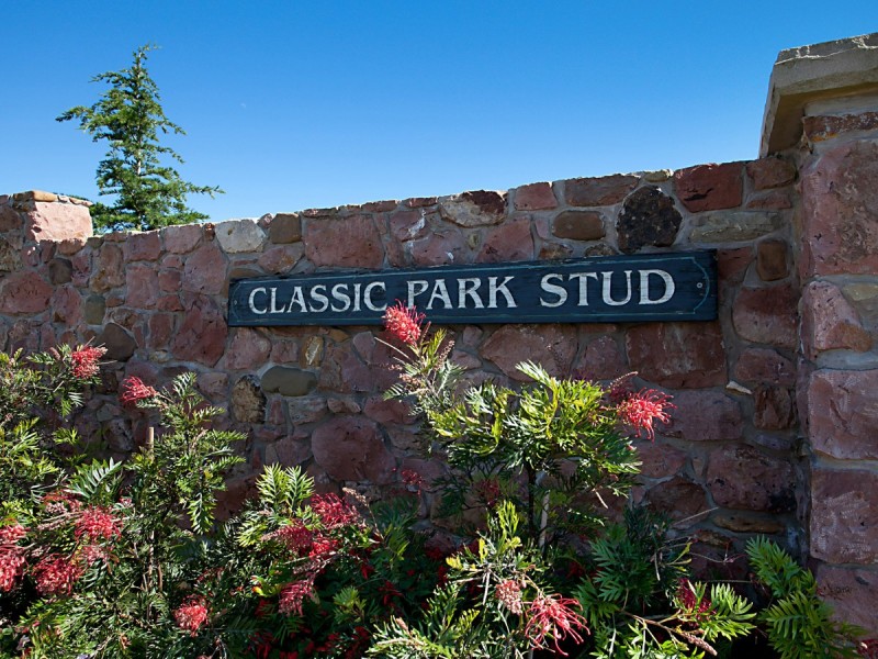 665 Luskintyre Road, Luskintyre NSW 2321