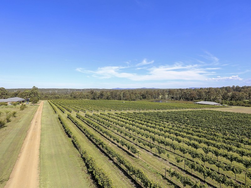 97 Olsen Road, Lovedale NSW 2325