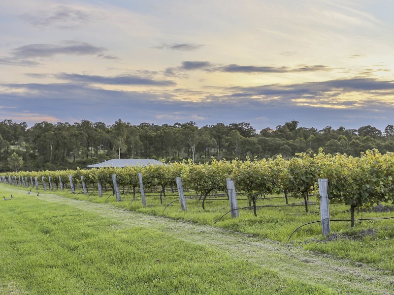 97 Olsen Road, Lovedale NSW 2325