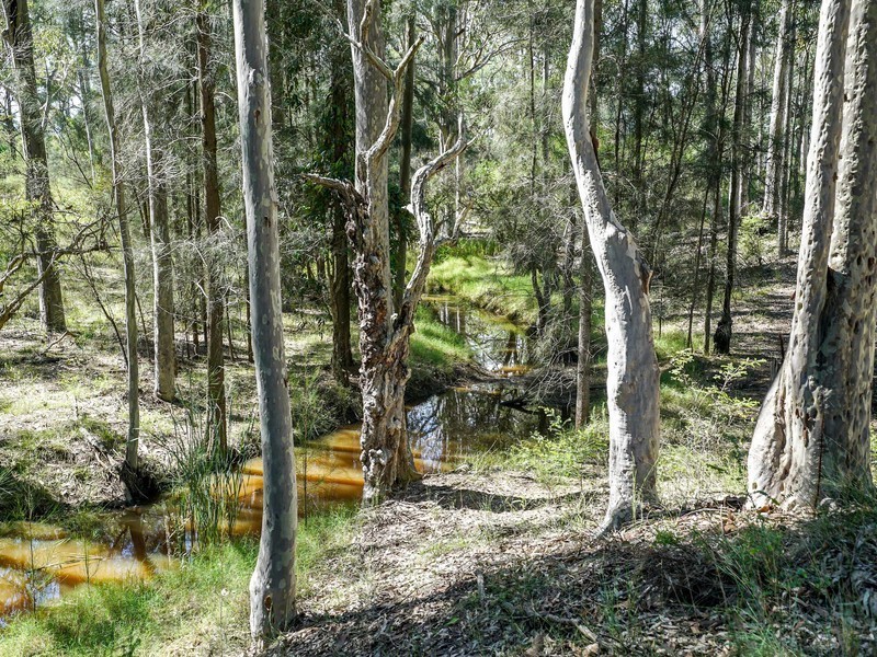 Lot 11,  Broke Road, Pokolbin NSW 2320