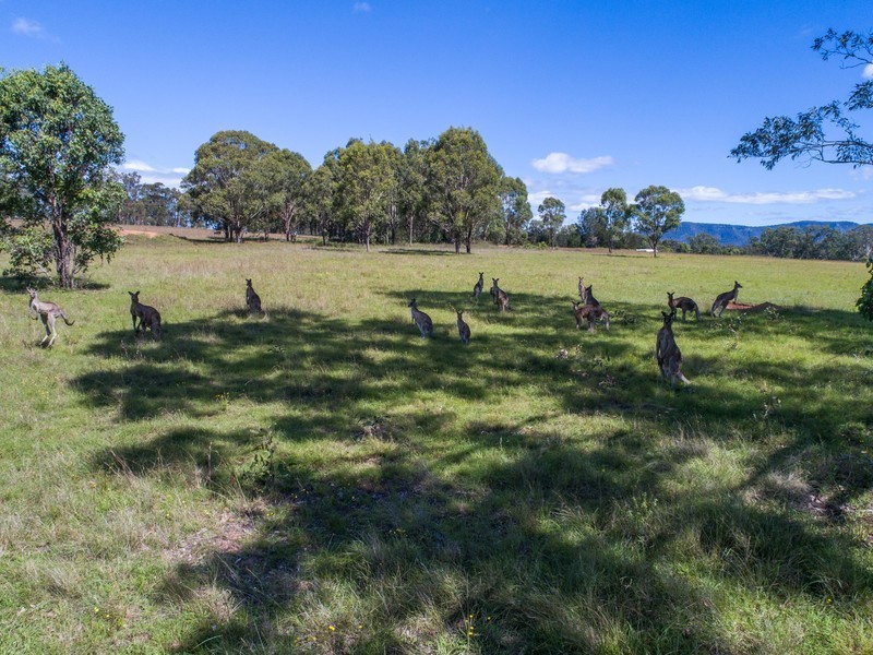 Lot 11,  Broke Road, Pokolbin NSW 2320