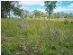 Lot 11,  Broke Road, Pokolbin NSW 2320