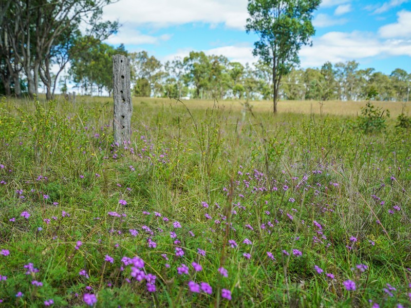 Lot 11,  Broke Road, Pokolbin NSW 2320