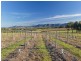 181 Sweetwater Road, Belford NSW 2335