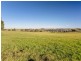 204 Luskintyre Road, Luskintyre NSW 2321
