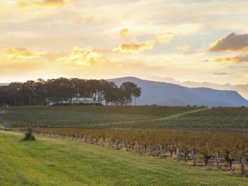 534 Oakey Creek Road, Pokolbin NSW 2320