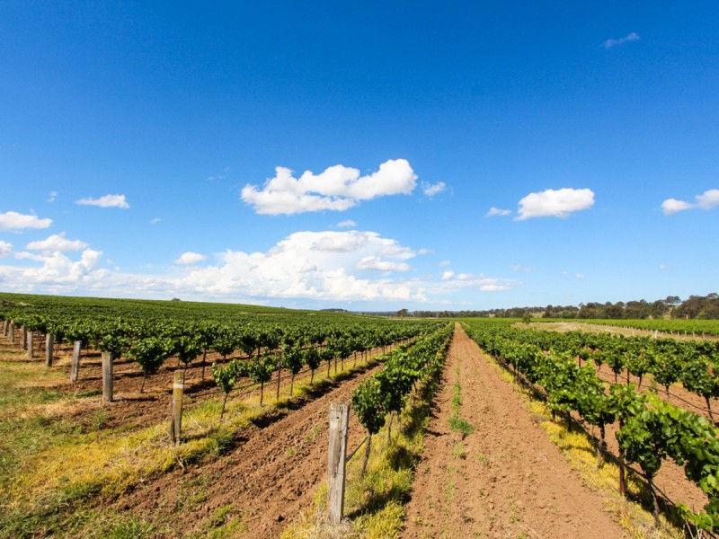 534 Oakey Creek Road, Pokolbin NSW 2320