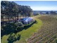 534 Oakey Creek Road, Pokolbin NSW 2320
