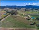 534 Oakey Creek Road, Pokolbin NSW 2320