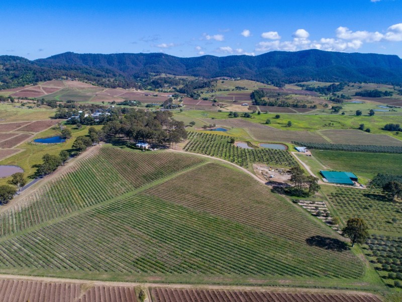 534 Oakey Creek Road, Pokolbin NSW 2320