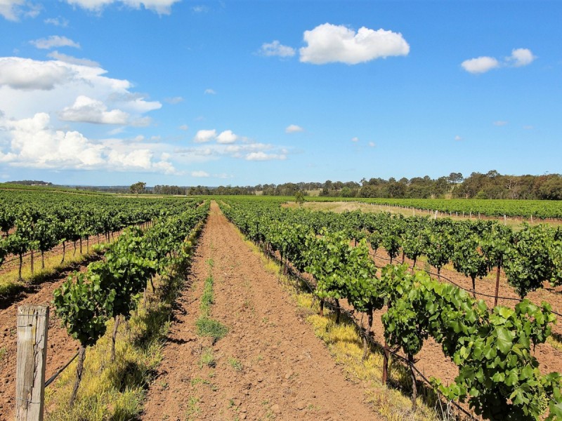 534 Oakey Creek Road, Pokolbin NSW 2320