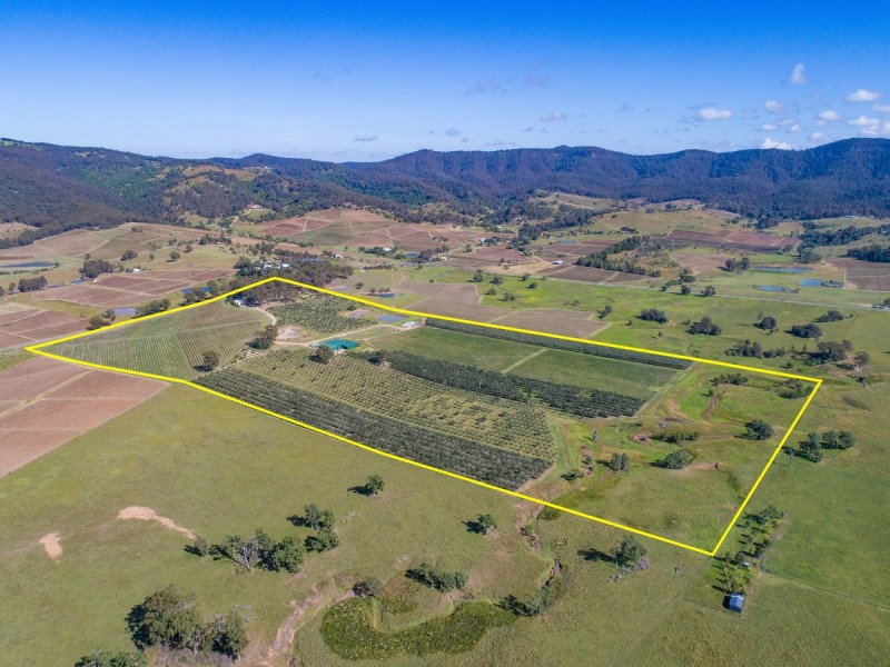 534 Oakey Creek Road, Pokolbin NSW 2320
