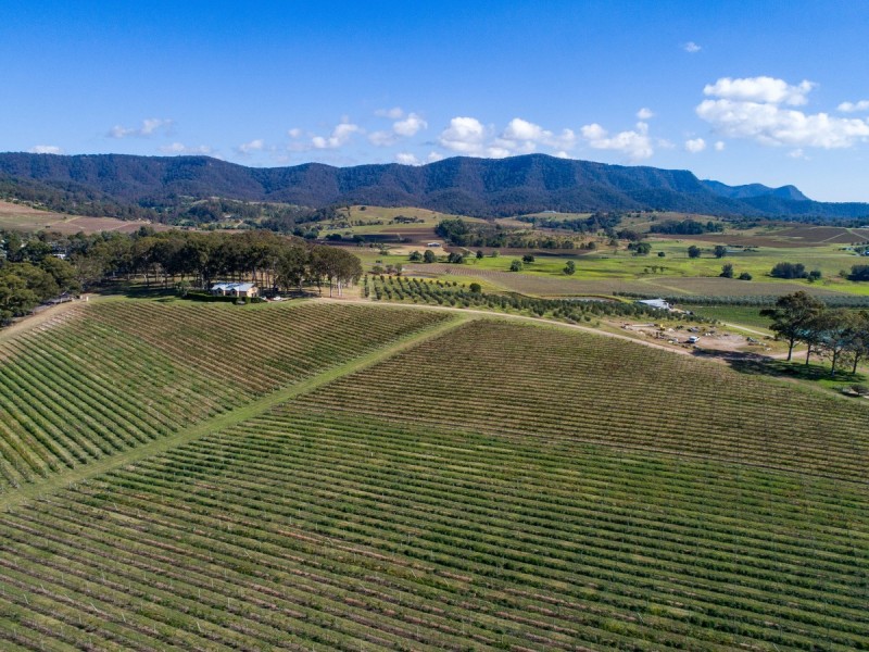 534 Oakey Creek Road, Pokolbin NSW 2320