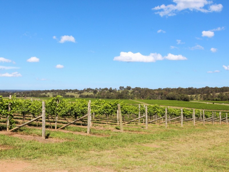 534 Oakey Creek Road, Pokolbin NSW 2320