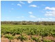 534 Oakey Creek Road, Pokolbin NSW 2320