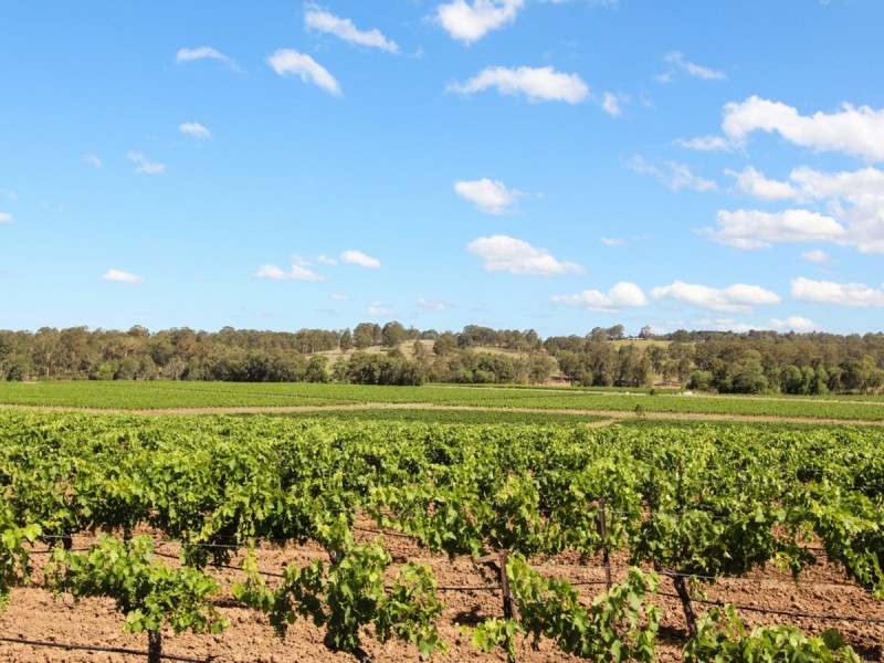 534 Oakey Creek Road, Pokolbin NSW 2320