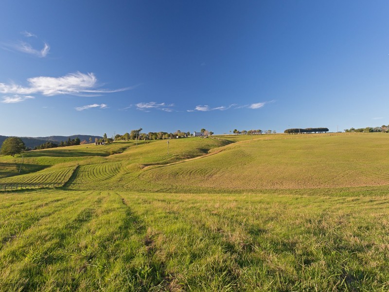 1079 Luskintyre Road, Luskintyre NSW 2321