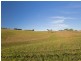 1079 Luskintyre Road, Luskintyre NSW 2321