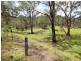 1845 Wollombi Road, Sweetmans Creek NSW 2325