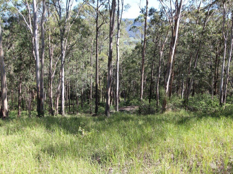 135 Mount Baker Road, Millfield NSW 2325