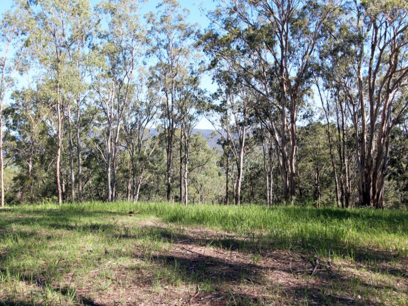 135 Mount Baker Road, Millfield NSW 2325