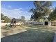 31 Cochrane Street, Broke NSW 2330
