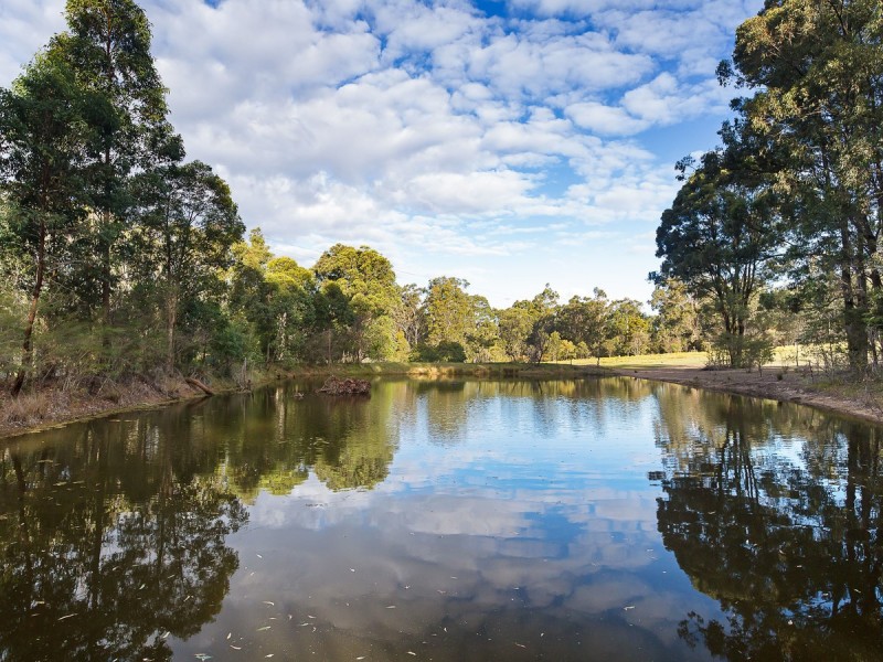 1149 Old Maitland Road, Sawyers Gully NSW 2326