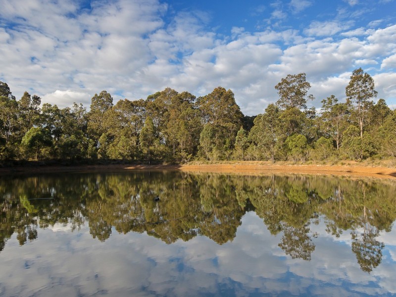 1149 Old Maitland Road, Sawyers Gully NSW 2326