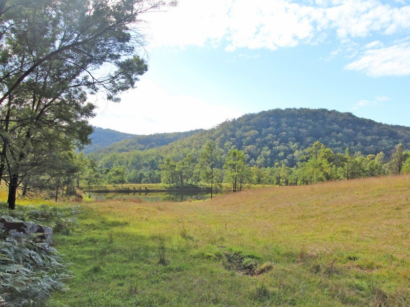 1994 Paynes Crossing Road, Paynes Crossing NSW 2325