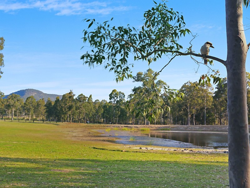 751 Sandy Creek Road, Quorrobolong NSW 2325