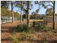 751 Sandy Creek Road, Quorrobolong NSW 2325