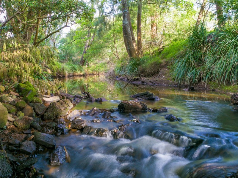 492 Congewai Road, Congewai NSW 2325