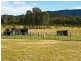 492 Congewai Road, Congewai NSW 2325