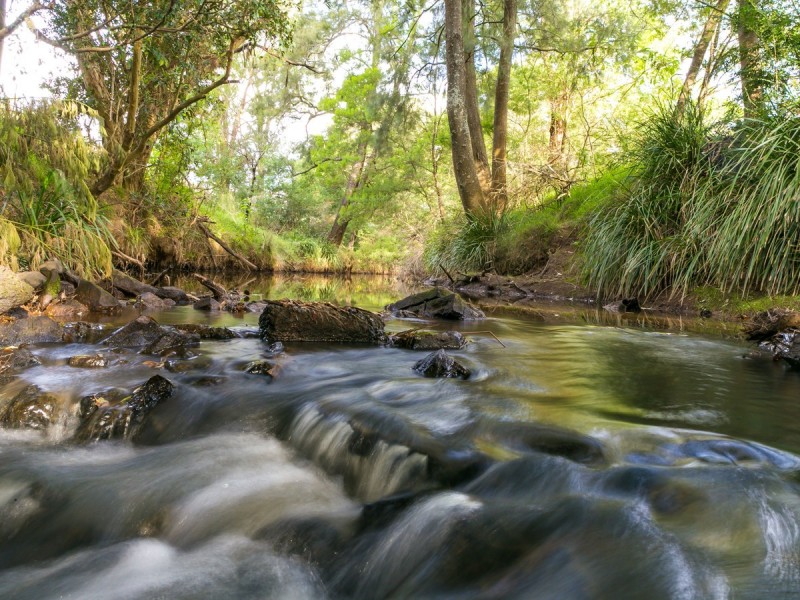 492 Congewai Road, Congewai NSW 2325