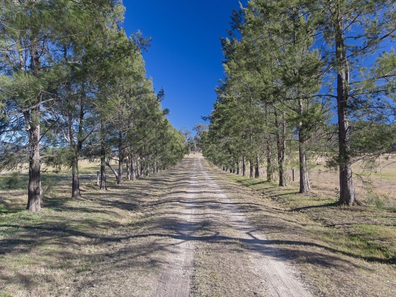 1224 Milbrodale Road, Broke NSW 2330