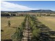 1224 Milbrodale Road, Broke NSW 2330