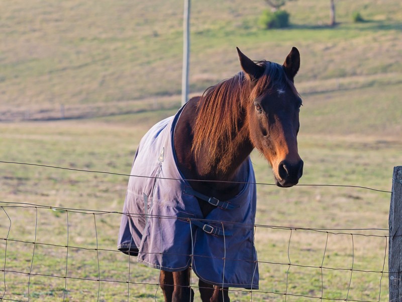 1122 New England Highway, Lochinvar NSW 2321