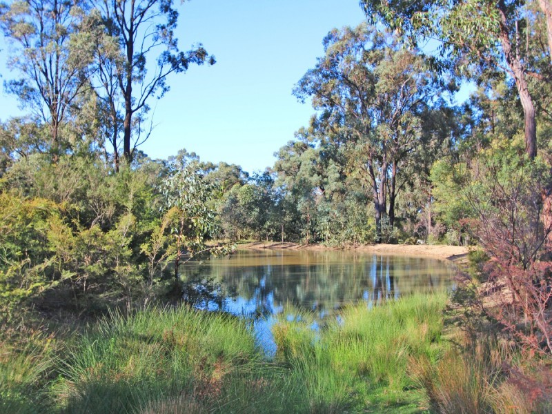 66 Wilson Street, Kearsley NSW 2325