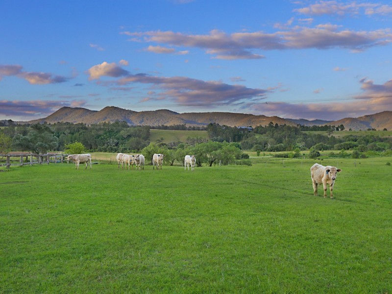 458E Elderslie Road, Branxton NSW 2335