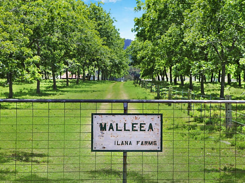 458E Elderslie Road, Branxton NSW 2335