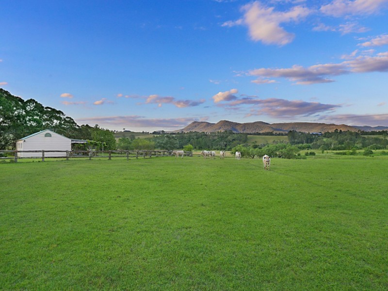 458E Elderslie Road, Branxton NSW 2335