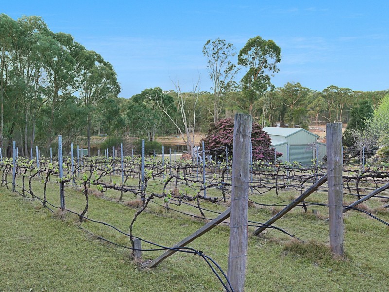 755 Sandy Creek Road, Quorrobolong NSW 2325