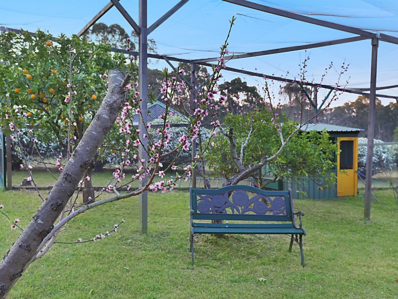 755 Sandy Creek Road, Quorrobolong NSW 2325