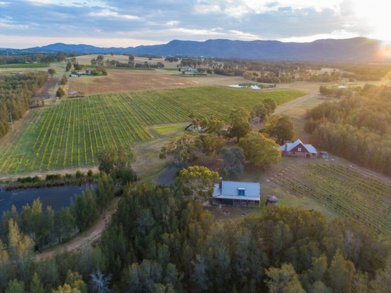 223 Deasys Road, Pokolbin NSW 2320