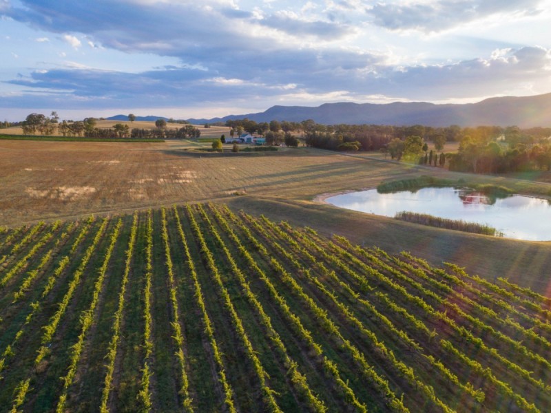 223 Deasys Road, Pokolbin NSW 2320