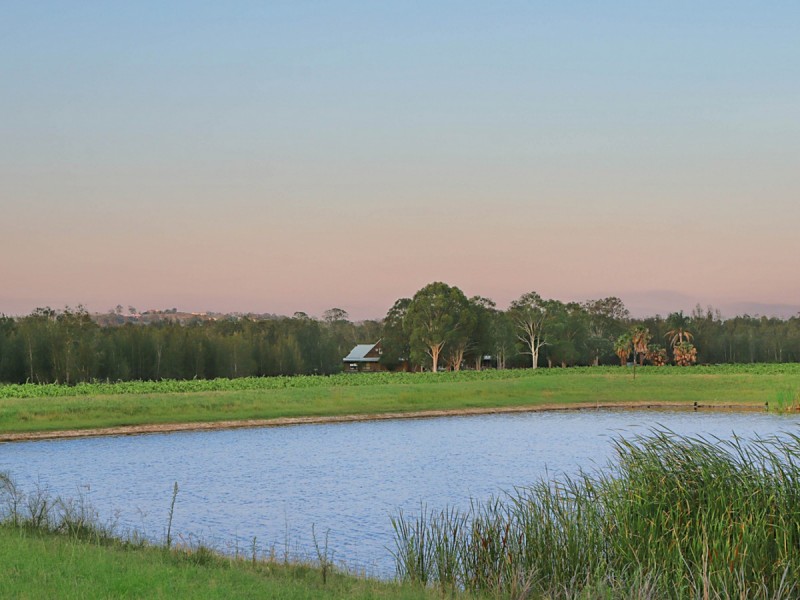 223 Deasys Road, Pokolbin NSW 2320