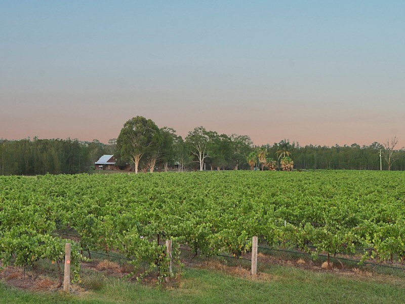 223 Deasys Road, Pokolbin NSW 2320