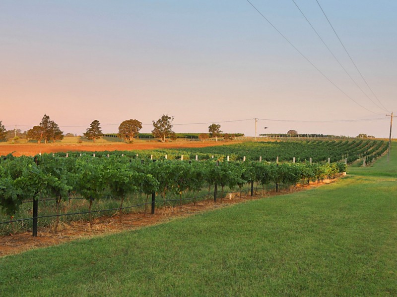 223 Deasys Road, Pokolbin NSW 2320